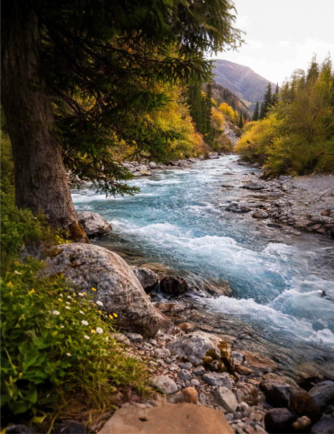 Riverside trail in Ala-Archa