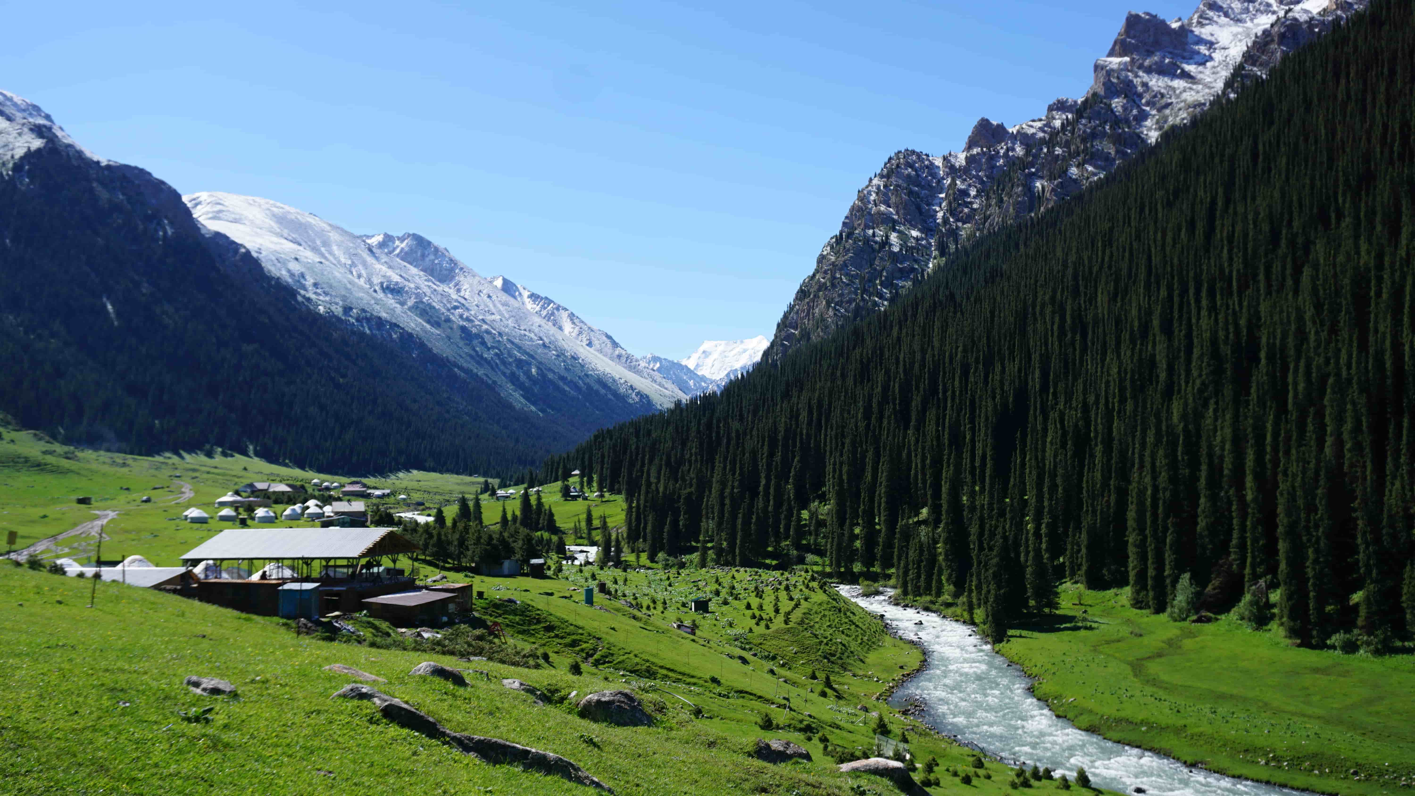 River and forest line