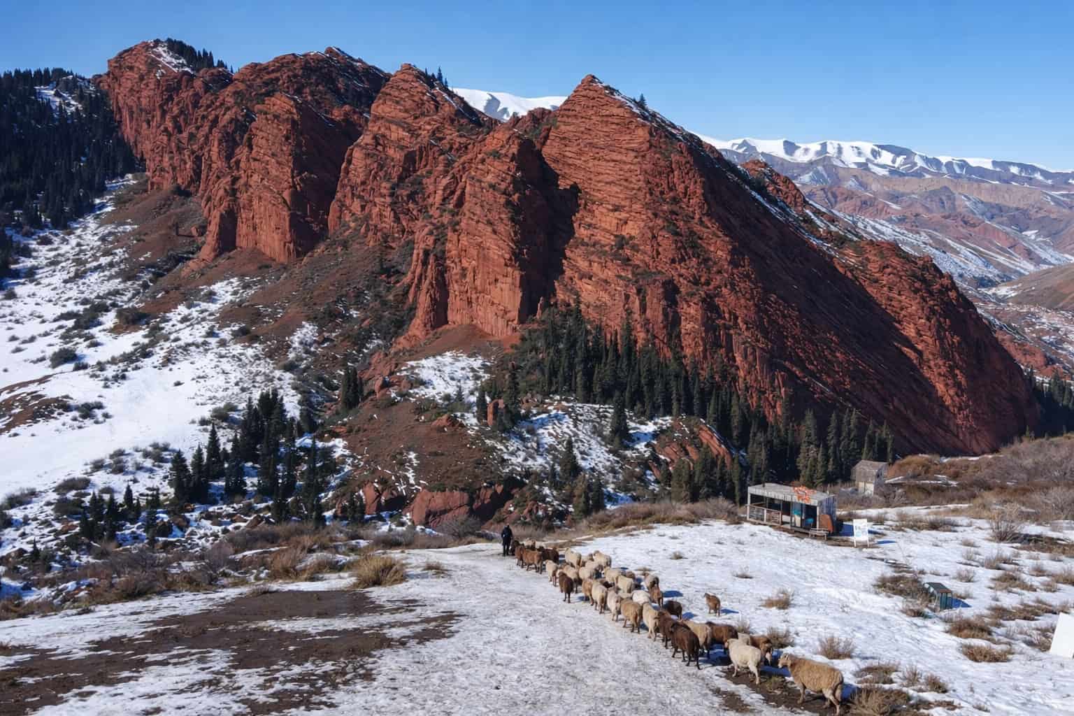 Viewpoint above Seven Bulls rocks