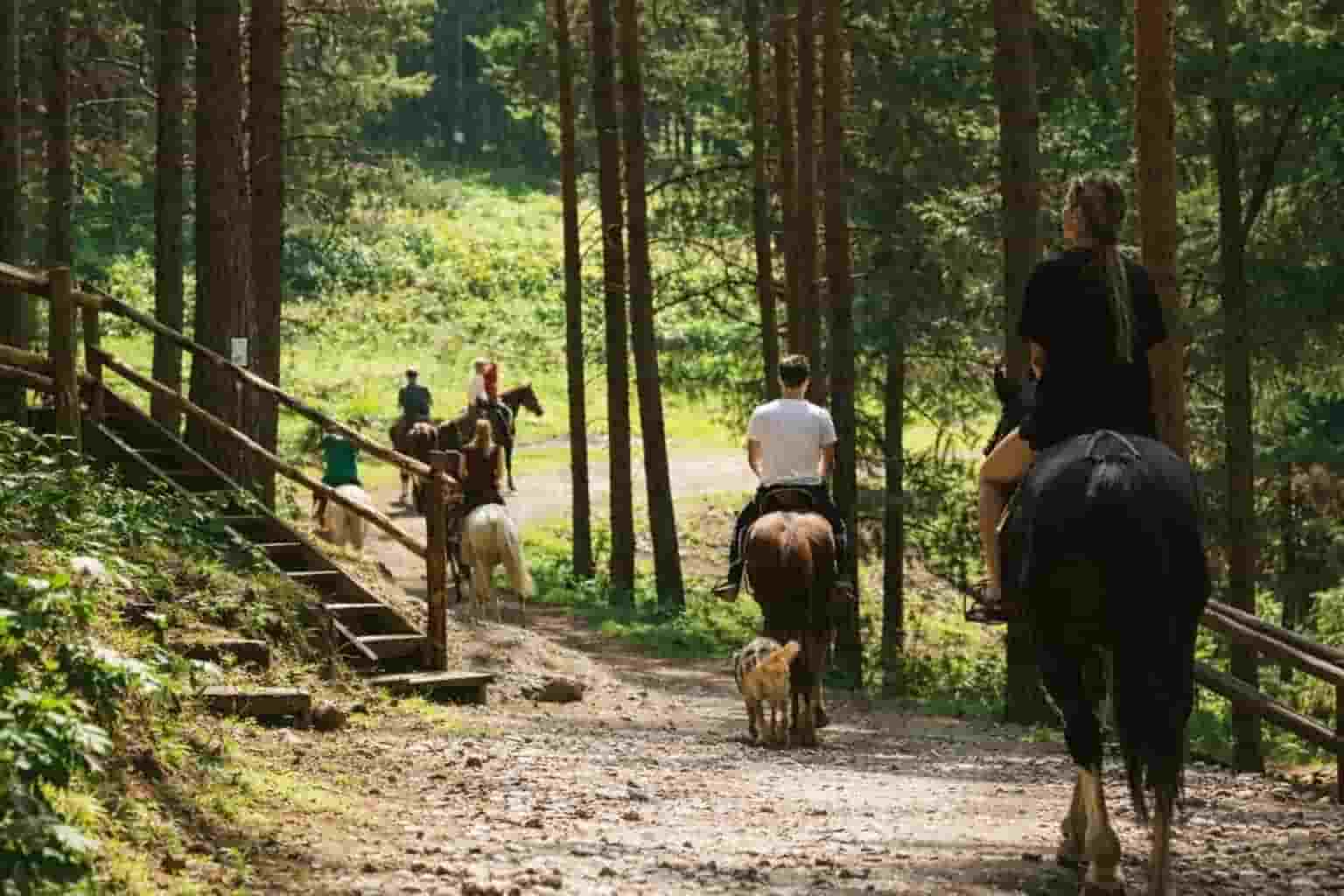 Horse riding tour in Kyrgyzstan